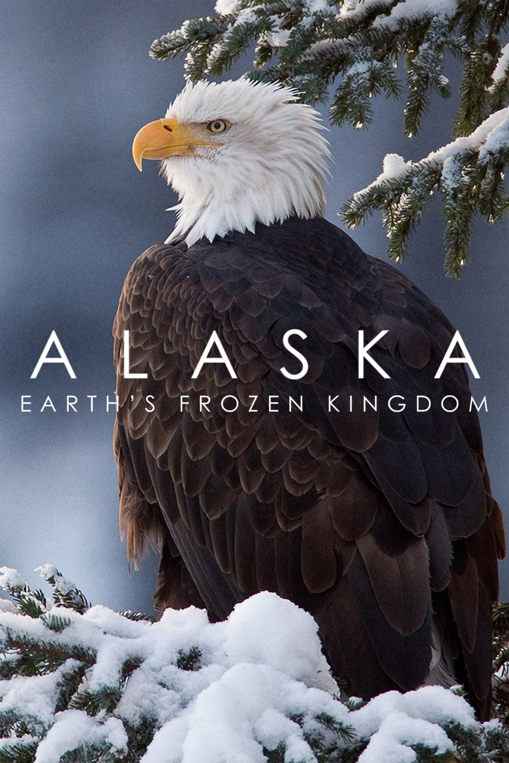 Alaska: Earth's Frozen Kingdom (2015)