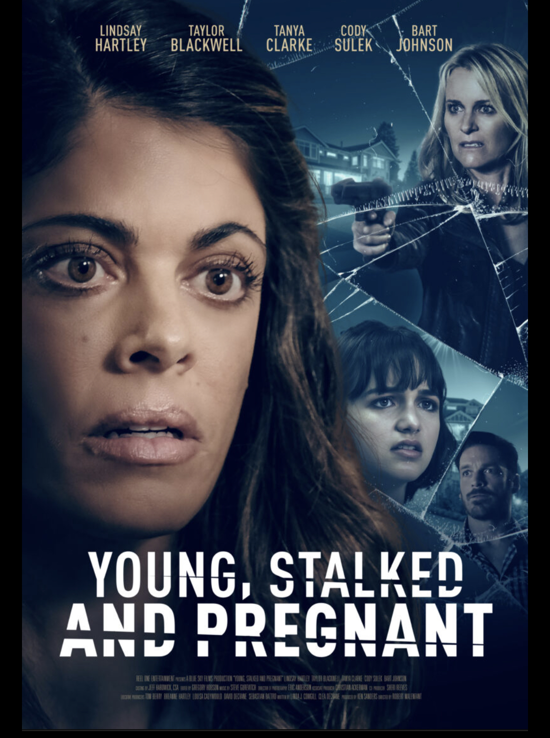 Young, Stalked, and Pregnant (2020)