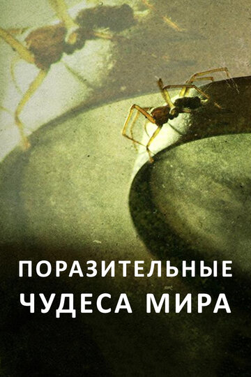 Поразительные чудеса мира (2015)